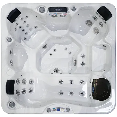 Avalon EC-849L hot tubs for sale in Akron